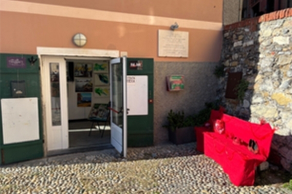 25 NOVEMBRE GIORNATA MONDIALE CONTRO LA VIOLENZA SULLE DONNE - SILVIA BORSARI Pittrice